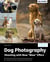 Dog Photography - Shooting with Bow "Wow" Effect