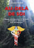 Au-delà de Soi - Voyage thérapeutique et spirituel en cinquième dimension    Huit témoignages  sur la médecine de l'Ayahuasca en Amazonie chez les Indiens Shipibos-Conibos