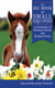 The Big Book of Small Equines - A Celebration of Miniature Horses and Shetland Ponies