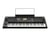 Korg EK-50 - Clavier arrangeur - 61 touches - Noir