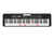CLAVIER ARRANGEUR LK-S250 61 TOUCHES LUMINEUSES