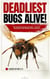 Deadliest Bugs Alive: The Scariest Insects on Earth — and the Shocking Truth Behind Their Powers