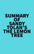 Summary of Sandy Tolan's The Lemon Tree