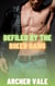 Defiled by the Biker Gang - Alpha Male Gay Muscle Worship, #1
