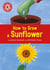 How to Grow a Sunflower - Independent Reading Non-fiction Red 2