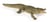 Alligator - PAPO - 50254
