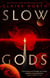 Slow Gods - A space opera of breathtaking imagination from the most original voice in speculative fiction