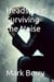 Headspace: Surviving the Noise