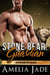 Stone Bear: Guardian - Stone Bears, #3