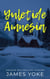 Yuletide Amnesia