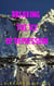 Breaking the Ice of Depression