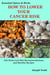 How to Lower Your Cancer Risk: Life-Style and Diet Recommendations and Healthy Recipes - Essential Spices and Herbs, #7