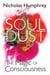 Soul Dust - The Magic of Consciousness