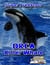Orca Killer Whale - Super Predators
