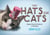 Tiny Hats on Cats