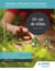 Modern Languages Study Guides: Un sac de billes - Literature Study Guide for AS/A-level French