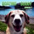 Boating with Buddy - Boating with Buddy, #1