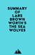 Summary of Lars Brownworth's The Sea Wolves