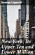New York: Its Upper Ten and Lower Million - Exploring class division in 19th century New York City