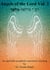 Angels of the Lord Vol. 2 - An apostolic-prophetic-messianic teaching