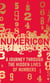 Numericon - A Journey through the Hidden Lives of Numbers