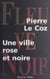 Une ville rose et noire