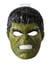 Déguisement - Masque en plastique - Hulk