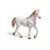 HORSE CLUB JUMENT PUR-SANG ANGLAIS