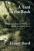 A Tent in the Bush: William and Jeanie Wallace’s North Auckland Story