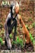 Azubike True Tales of a Teenager’s Village Life in Africa