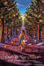 Emily de New Moon - Emily 1