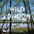 Wild London - Urban Escapes in and around the City