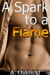 A Spark to a Flame (Gay First Time Short Erotic Story)