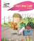Reading Planet - Not the Cat! - Pink A: Rocket Phonics