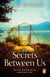The Secrets Between Us - The gripping and unforgettable historical fiction book from the top 10 bestseller