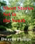 Short Stories Set in the South