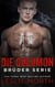 Die Solomon Brüder Serie