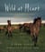 Wild at Heart - Mustangs and the Young People Fighting to Save Them
