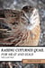 Raising Coturnix Quail for Meat and Eggs: the easy way