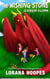 The Wishing Stone #2: Dragon Dilemma - The Wishing Stone, #2