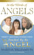 In the Words of Angels - Twenty Inspiring Stories from Touched by an Angel