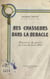 Des chasseurs dans la débâcle - Souvenirs de guerre du 3 au 10 juin 1940