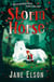 Storm Horse