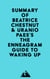 Summary of Beatrice Chestnut & Uranio Paes's The Enneagram Guide to Waking Up