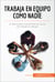 Trabaja en equipo como nadie - El abecé para convertirse en un as del trabajo en grupo