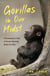 Gorillas in Our Midst - A Zookeeper’s Tale of Hand-Rearing Baby Gorillas as featured on BBC Radio 4's Saturday Live
