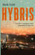 Hybris - Von der Konsequenz eines umgefallenen Fahrrads