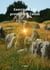 Exorcismes et protections Celtes