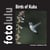 Birds of Kuba - fotolulus Bildband VIII