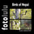 Birds of Nepal - fotolulu`s Bildband XVIII